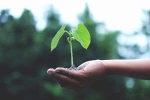 Engagement Selfizee pour Planète Urgence avec 1500 arbres plantés