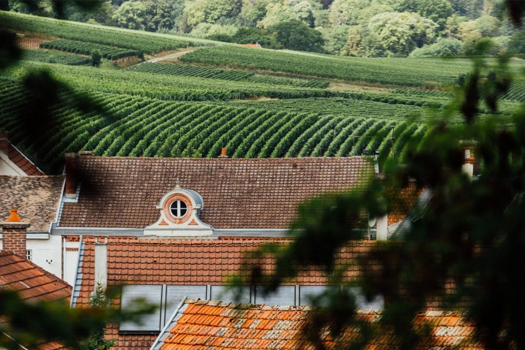 Le domaine Canard-Duchêne au cœur des vignobles et de la nature rémoise